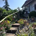 Chez Le Vigneron Westhalten