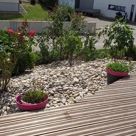 Chez Le Vigneron * Westhalten