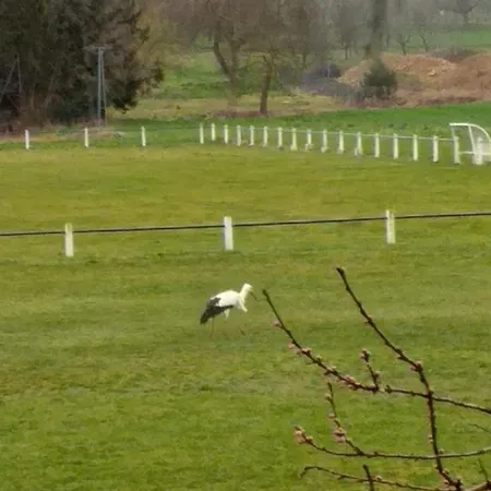 Apartment Chez Le Vigneron