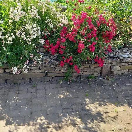 Chez Le Vigneron Apartment