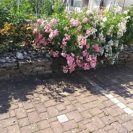 Chez Le Vigneron Apartment *
