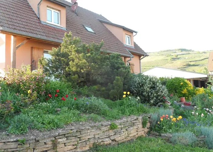 Chez Le Vigneron شقة Westhalten